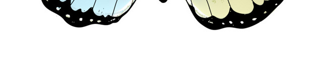 蝴蝶