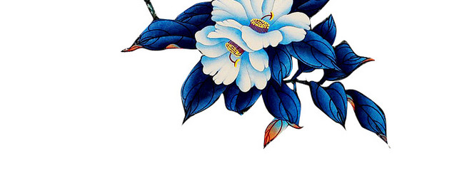 蝴蝶和花儿