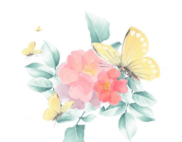 蝴蝶和花