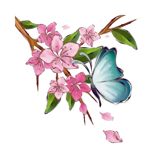 蝴蝶和花儿