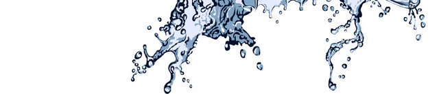 水元素蝴蝶