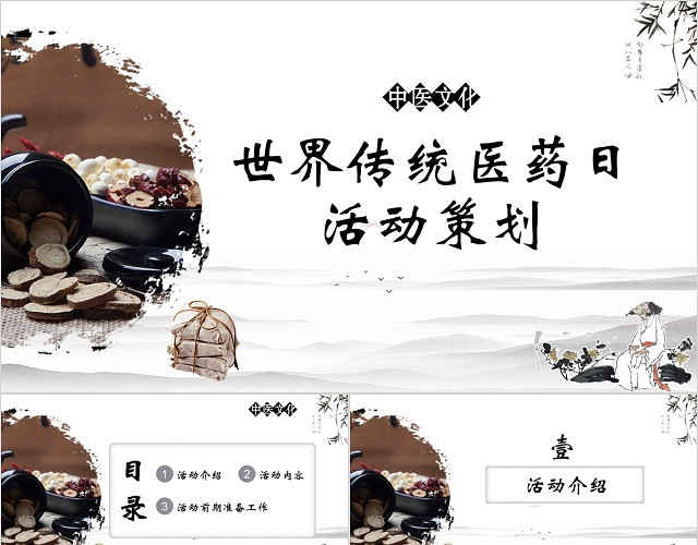 中国风世界传统医药日活动策划PPT模板