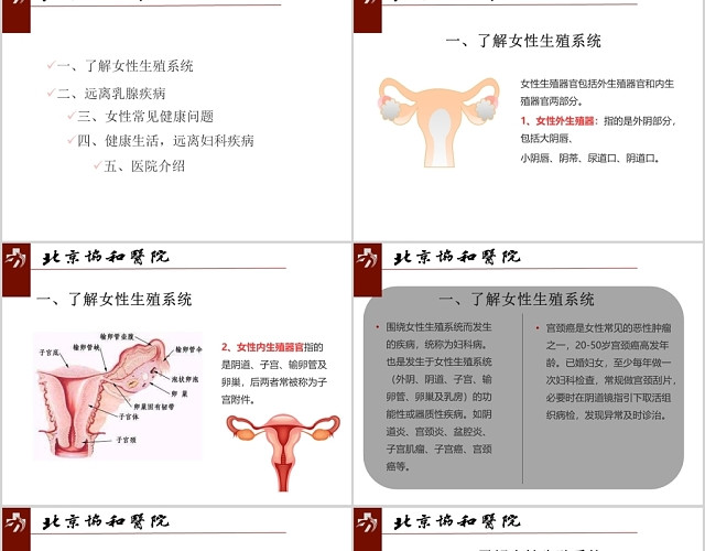 医学医疗医院女性生殖健康保健知识