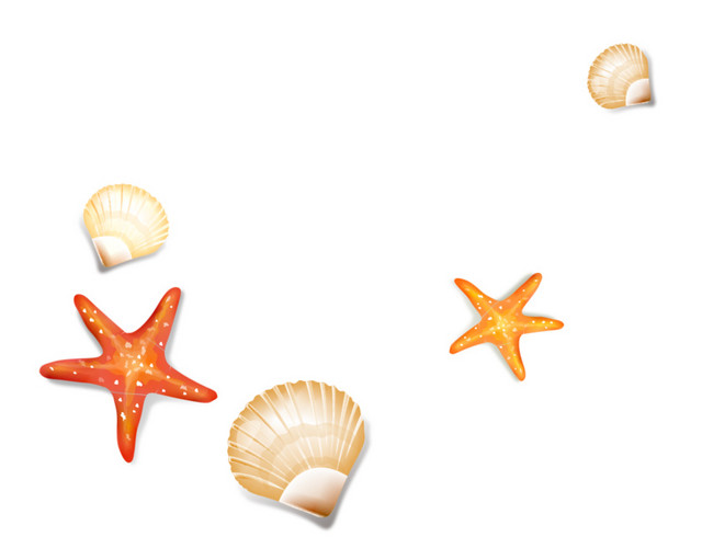 彩色矢量海星贝壳素材