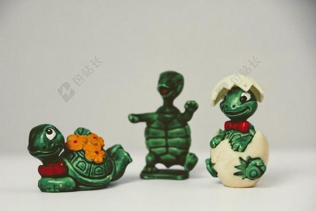 摄影简约乌龟破壳背景图片