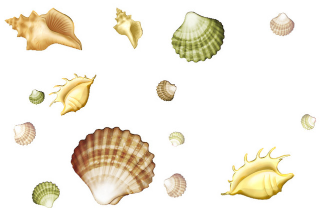 贝壳海螺免抠素材