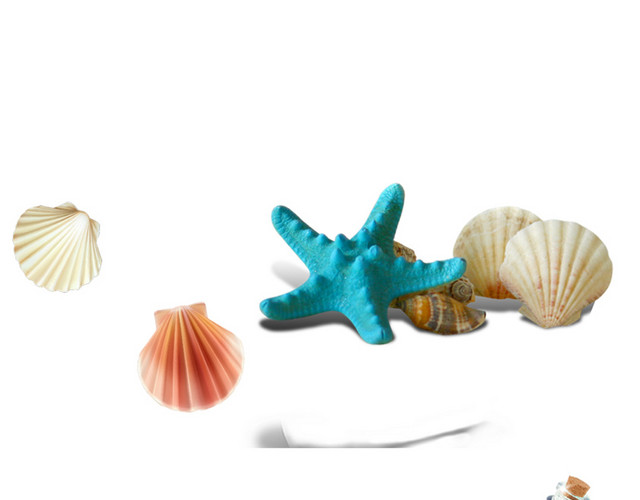 海洋生物免抠素材
