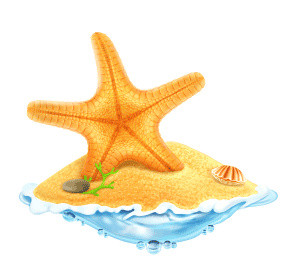 彩色沙滩海星海洋沙滩素材