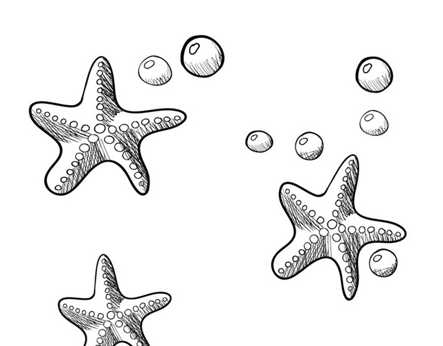 黑白勾线海星素材
