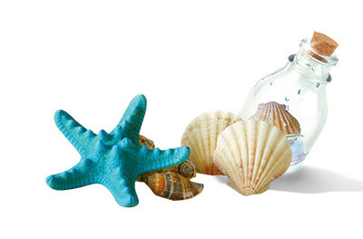 蓝色海星贝壳漂流瓶