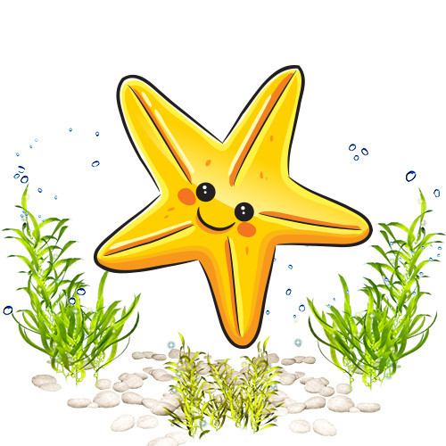 彩色手绘风海星海草