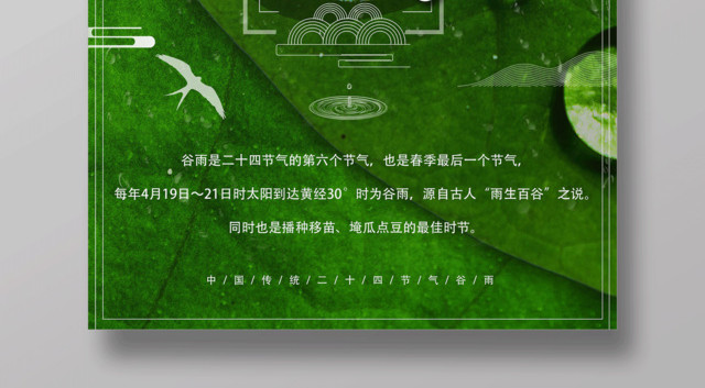 简洁创意谷雨节气海报