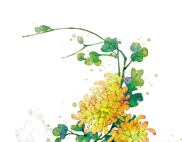 九月初九重阳节菊花素材
