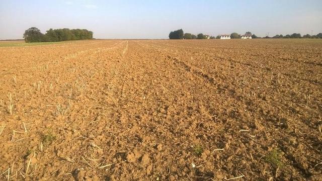 原野 犁 萨福克 土壤 作物 农场 天空 VISTA 地平线