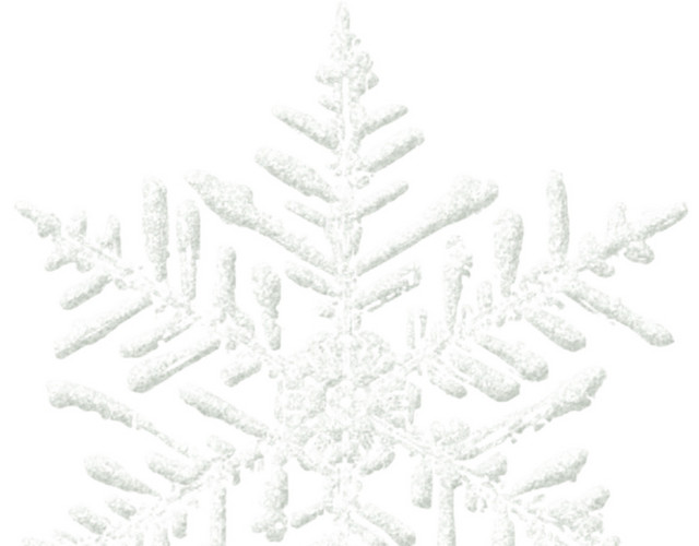 雪花