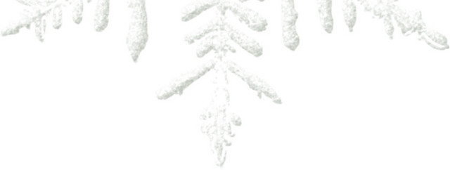 雪花