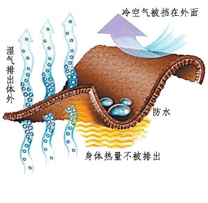 防水面料