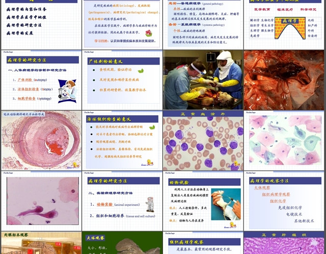 病理学绪论PPT模板