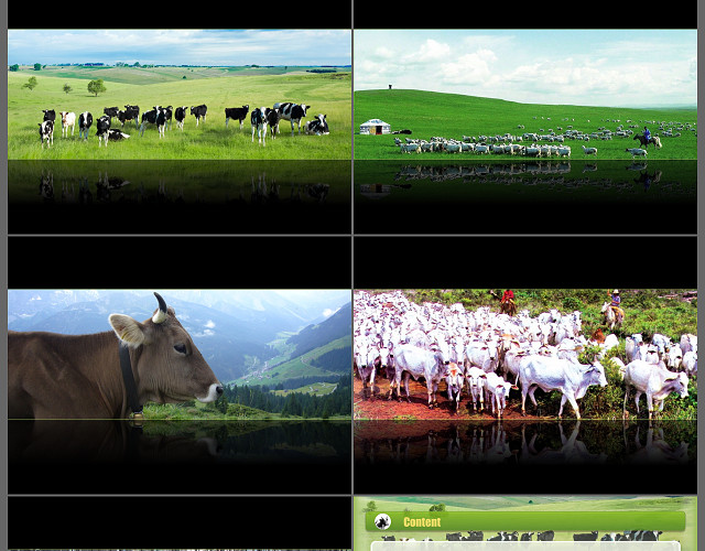 浅绿色背景简约以畜牧业为主的农业地域类型说课信息化教