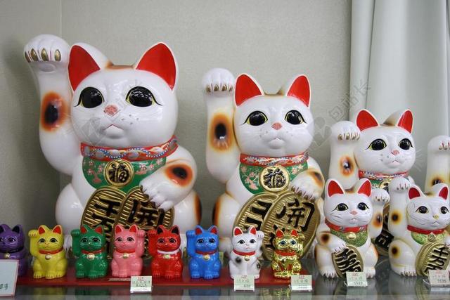 物品可爱的卡通招财猫背景图片