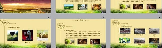 葡萄酒行业销售员工培训PPT模板