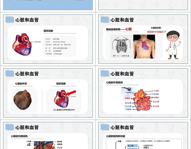 医疗简约风血液循环培训课件PPT模板