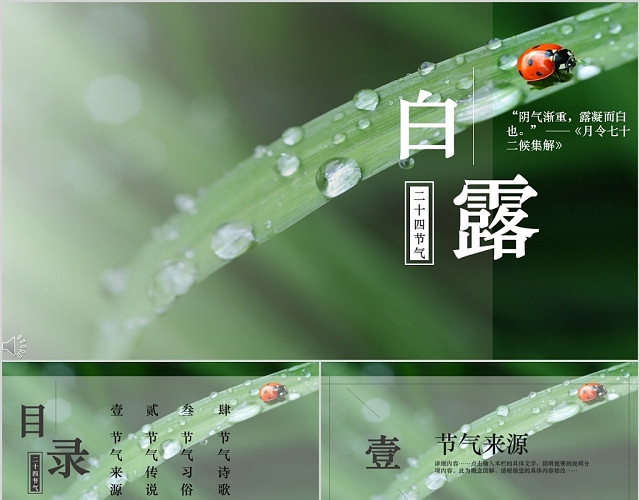清新绿色树叶背景二十四节气之白露介绍PPT模板