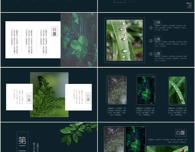 深绿背景简约树叶传统节日二十四节气之白露PPT模板