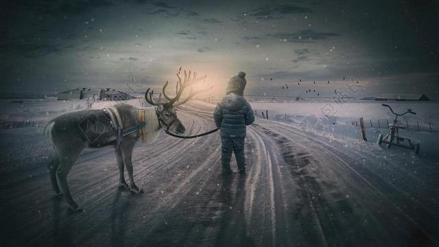 寒冬 驯鹿 男孩 小的孩子 景观 穆斯 雪