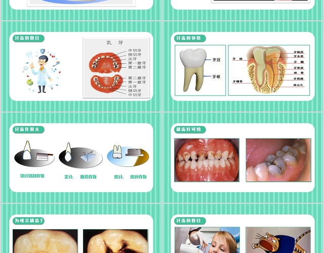 清新绿色简约风格关爱牙齿健康PPT模板