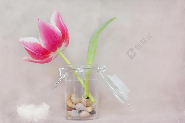 红色植物鲜花粉色白色花瓣玻璃瓶子石头装饰背景图片