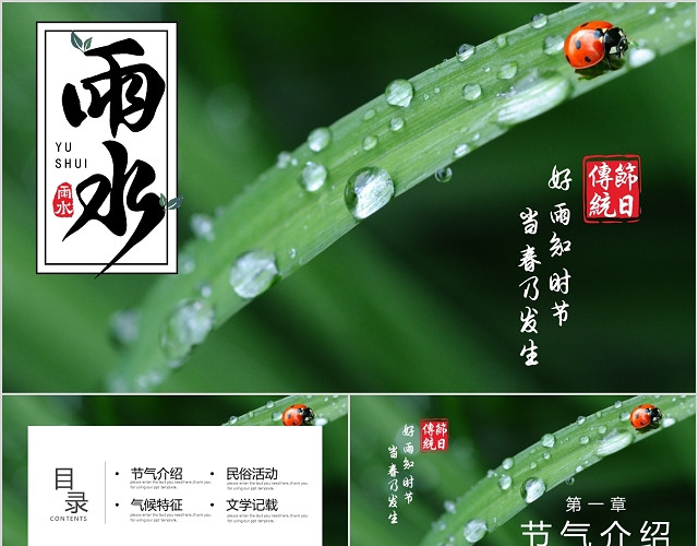 绿色系树叶元素雨水节气介绍PPT模板