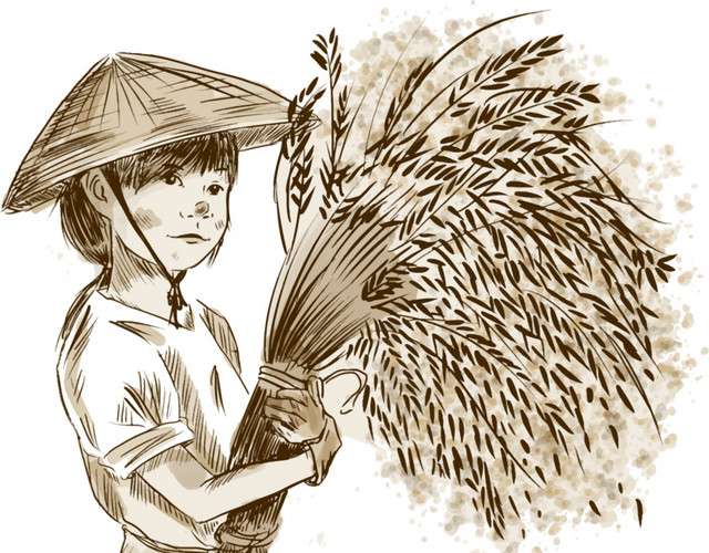 麦穗