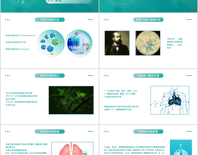 绿色清新简约风格结核病实验室检查及意义PPT模板
