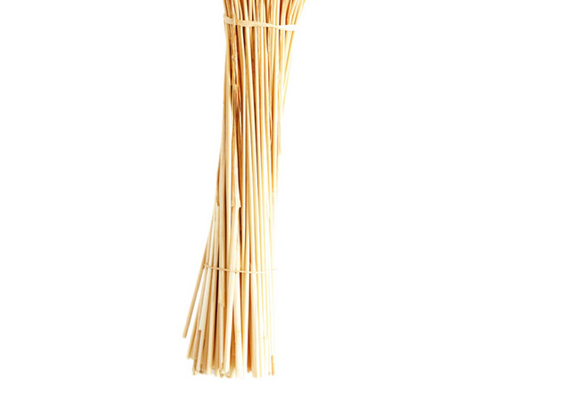 麦穗
