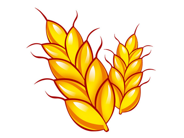 金黄色麦子矢量素材