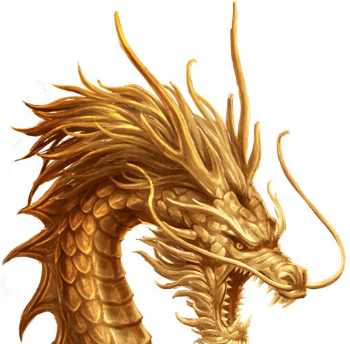 金龙