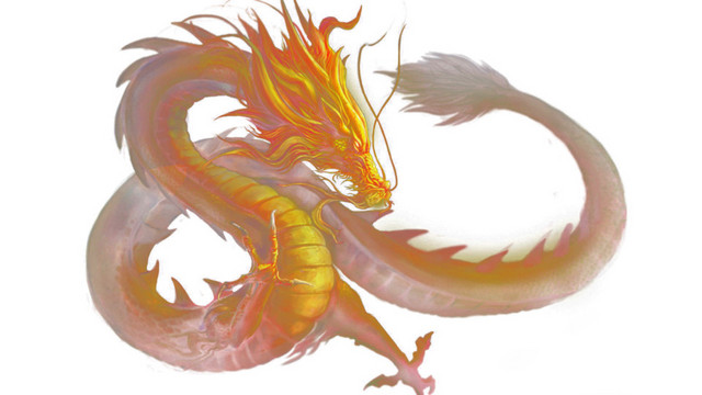 龙