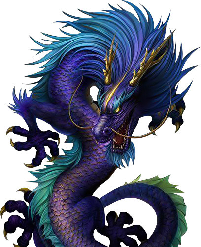 龙
