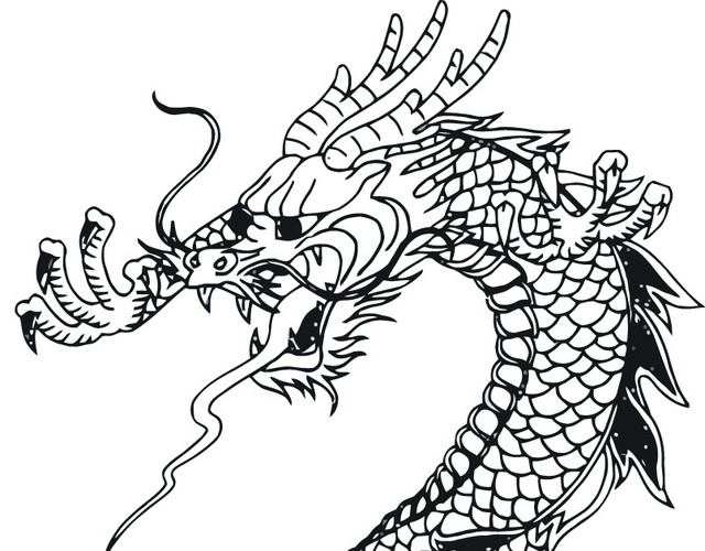 龙