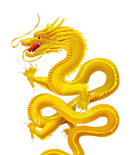 金龙