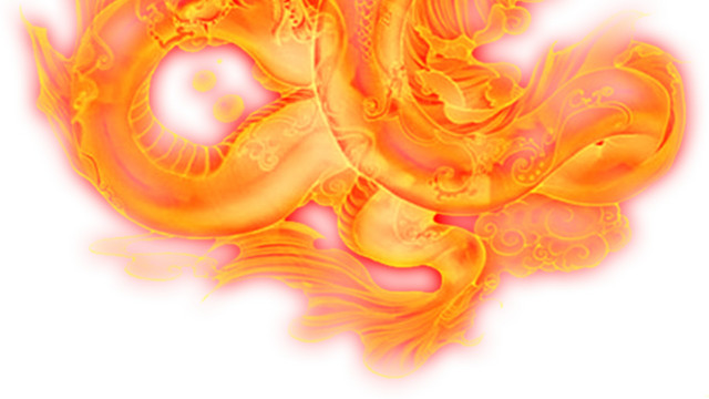 龙