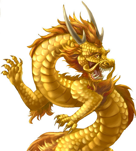 金龙