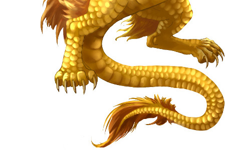 金龙