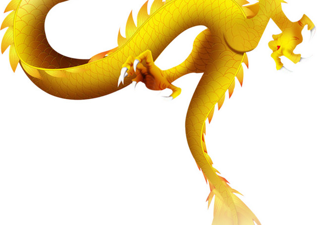 龙