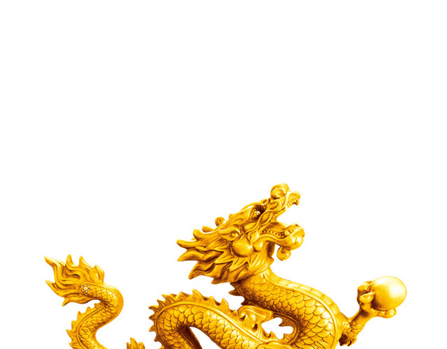 金龙