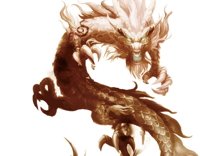 龙