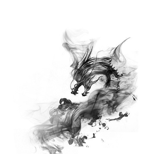 龙