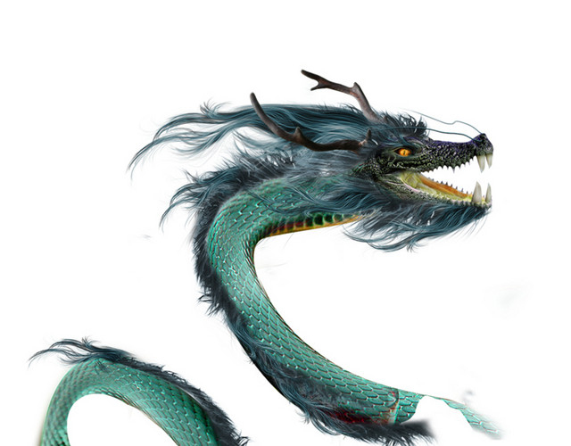 龙