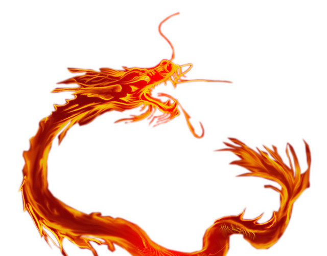 龙